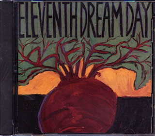 Eleventh Dream Day - Beet