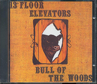 The 13th Floor Elevators - Bull Of The Woods