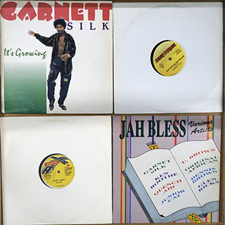 Garnett Silk, U Brown, Jr. Cat, Dennis Brown, Etc. - Lot #288616: 4 USED Reggae Vinyl