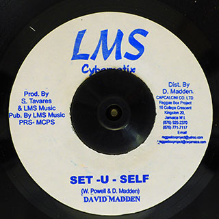 David Madden - Set U Self  /  David Madden - Setup
