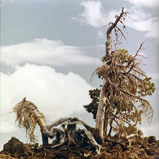 People Of The North - Steep Formations