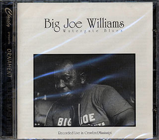 Big Joe Williams - Watergate Blues