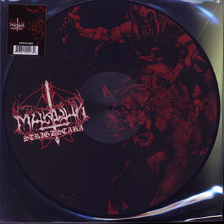 Marduk - Strigzscara (Warwolf)