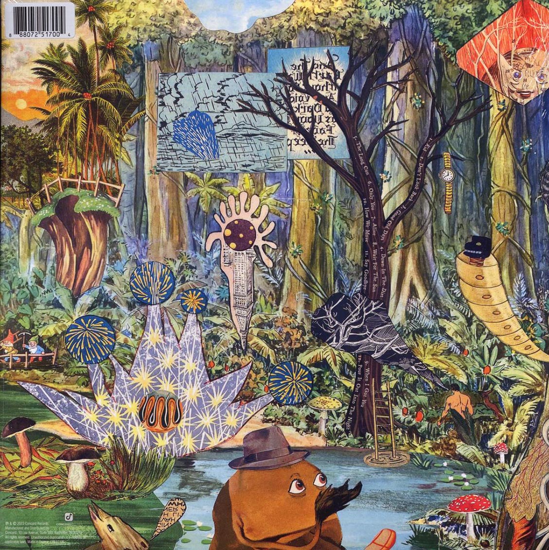 Back Cover Thumbnail