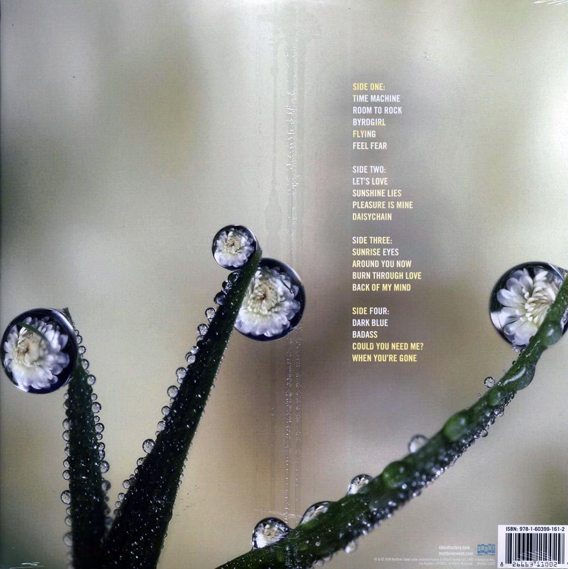 Back Cover Thumbnail