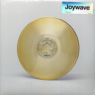 Joywave - Possession