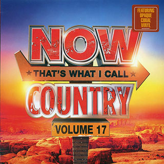 Chris Stapleton, Jordan Davis, Luke Combs, Morgan Wallen, Etc. - Now That's What I Call Country Volume 17