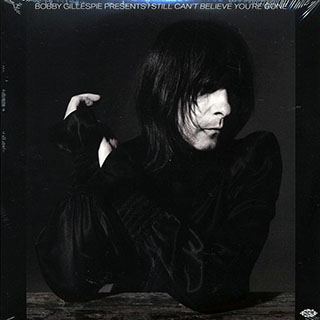 Ry Cooder, JJ Cale, Thin Lizzy, Little Feat, Bob Dylan, Willie Neslon, Lee Hazlewood, Etc. - Bobby Gillespie Presents: I Still Can't Believe You're Gone