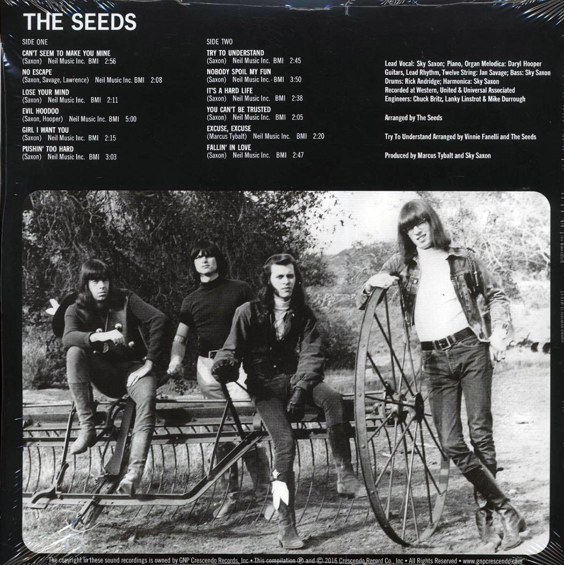 Back Cover Thumbnail