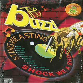 Sean Paul, Sizzla, Beenie Man, Caplton, Etc. - The Buzz (give Me The Light Rhythm)