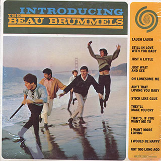 The Beau Brummels - Introducing The Beau Brummels