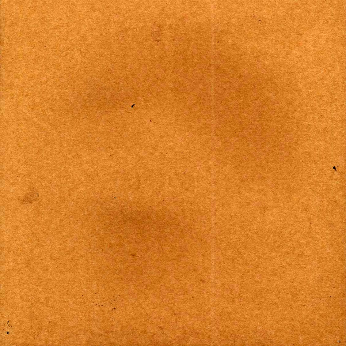 Back Cover Thumbnail