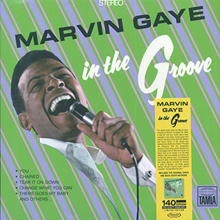 Marvin Gaye - In The Groove